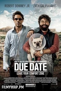 Due Date (2010) Hollywood Hindi Dubbed