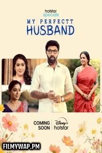 My Perfectt Husband (2024) Hindi Web Series