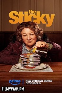 The Sticky (2024) Hindi Web Series